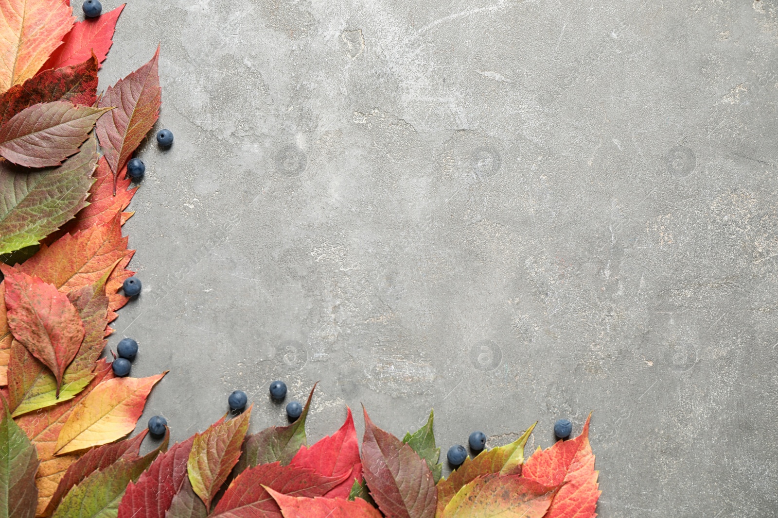 Photo of Flat lay composition with autumn leaves on stone background. Space for text