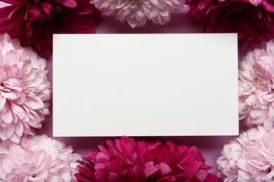 Photo of Beautiful chrysanthemum flowers and blank card as background, top view. Space for text