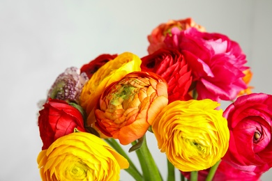 Bouquet of beautiful bright ranunculus flowers on light background, closeup