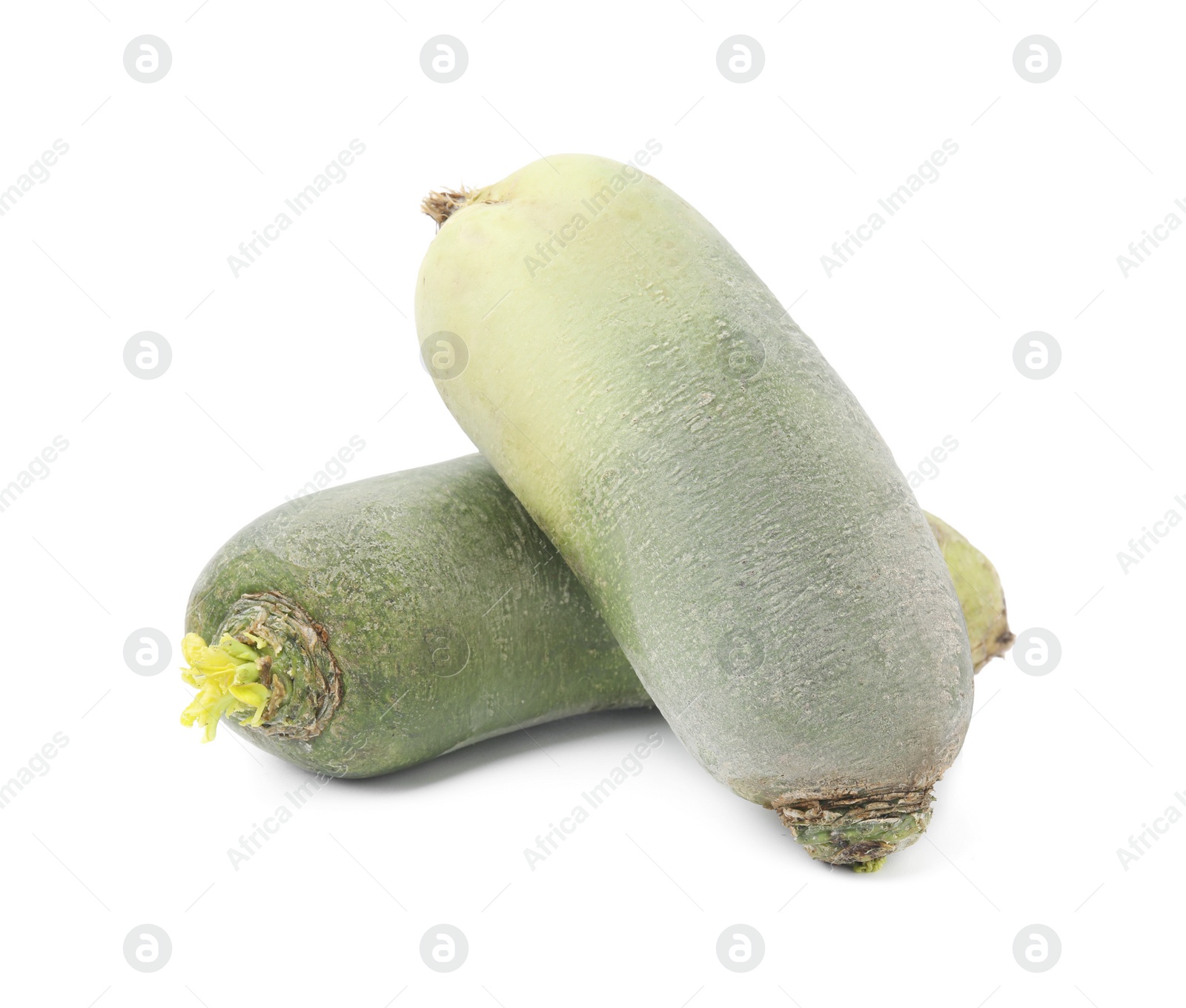 Photo of Ripe green daikon radishes isolated on white