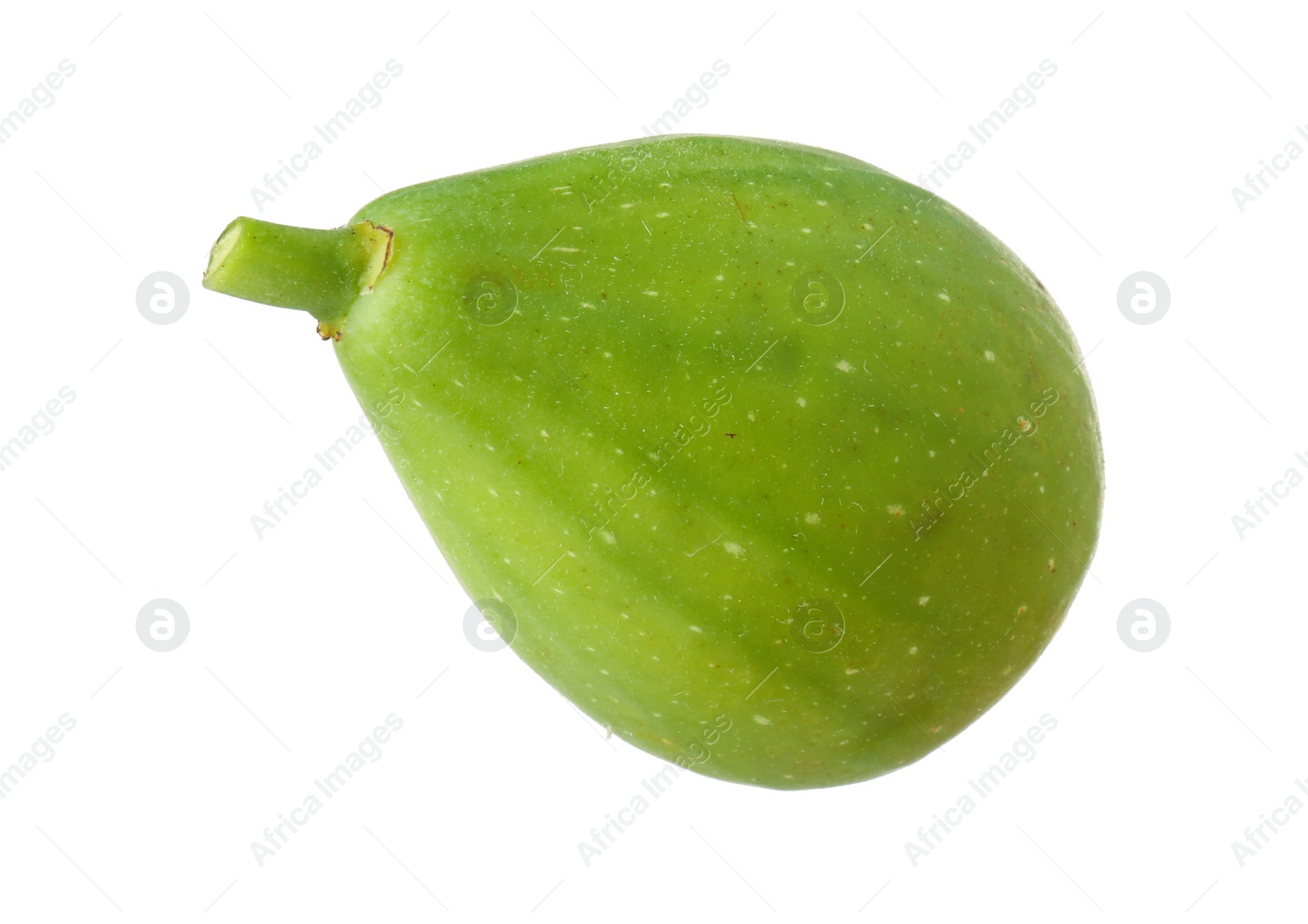 Photo of One fresh green fig isolated on white