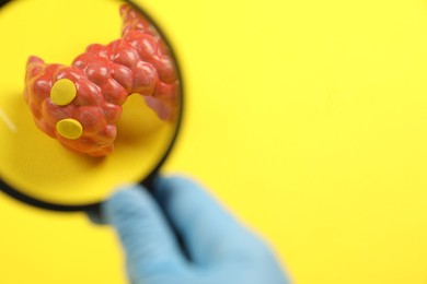 Endocrinologist looking at model of thyroid gland through magnifying glass on yellow background, closeup. Space for text