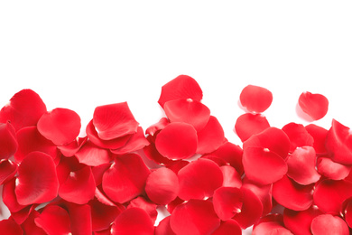 Pile of red rose petals on white background, top view