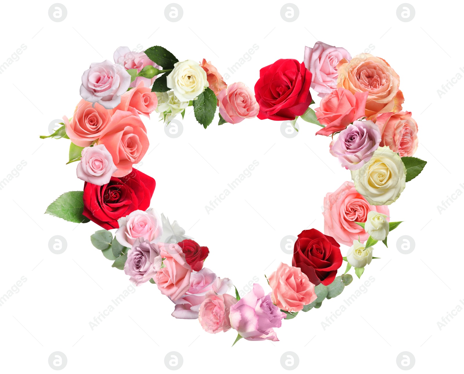 Image of Heart made of beautiful roses on white background