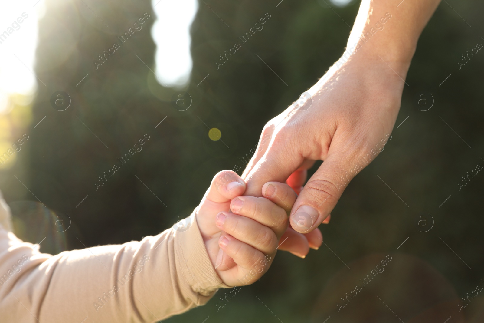 Photo of Daughter holding mother's hand outdoors, closeup view