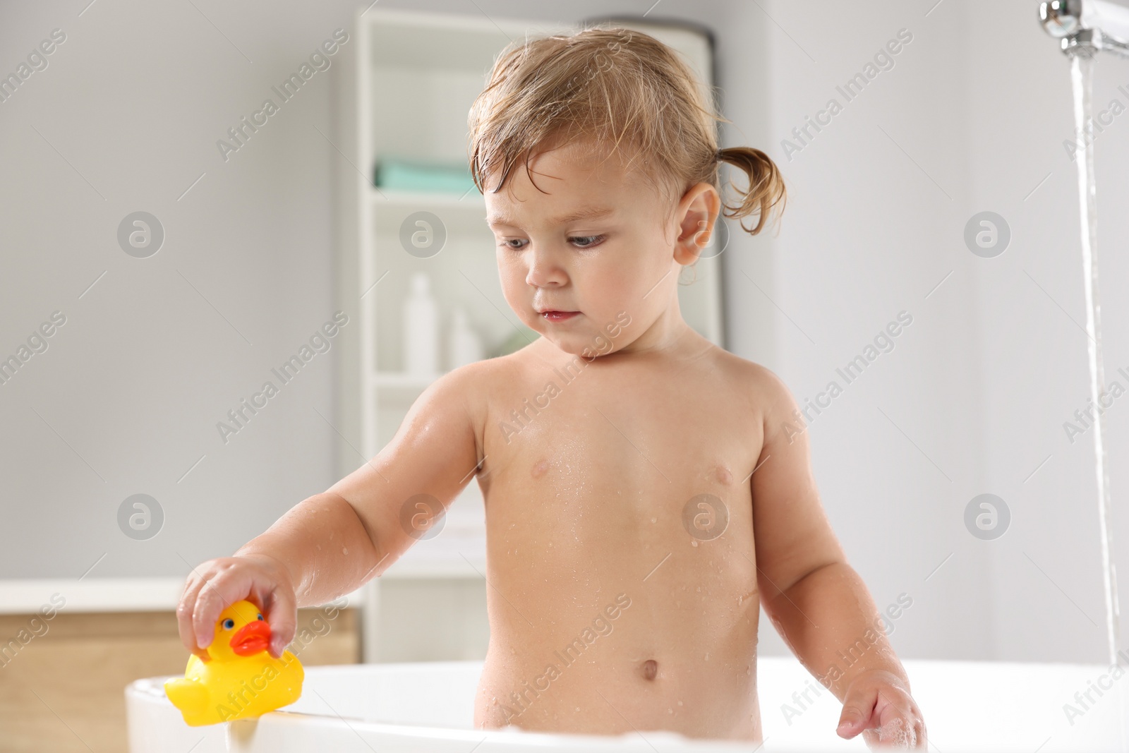 Photo of Cute little girl playing with rubber duck in bathtub at home