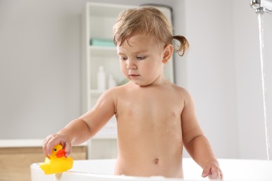 Photo of Cute little girl playing with rubber duck in bathtub at home