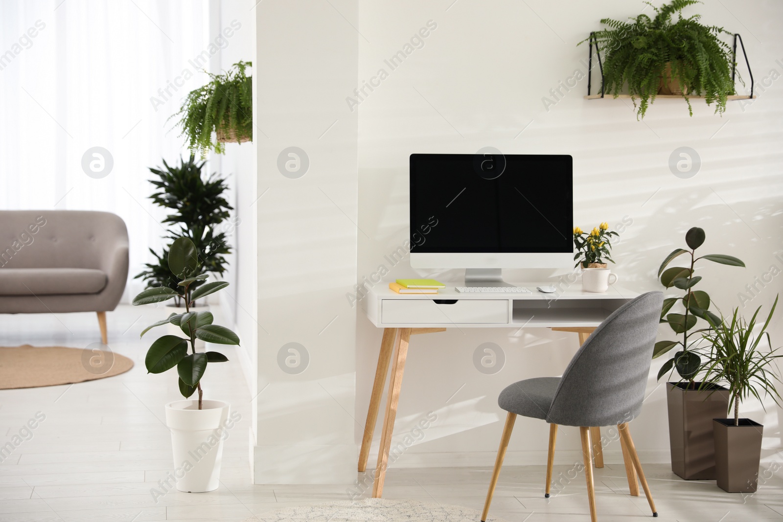 Photo of Modern workplace in room decorated with green potted plants. Home design