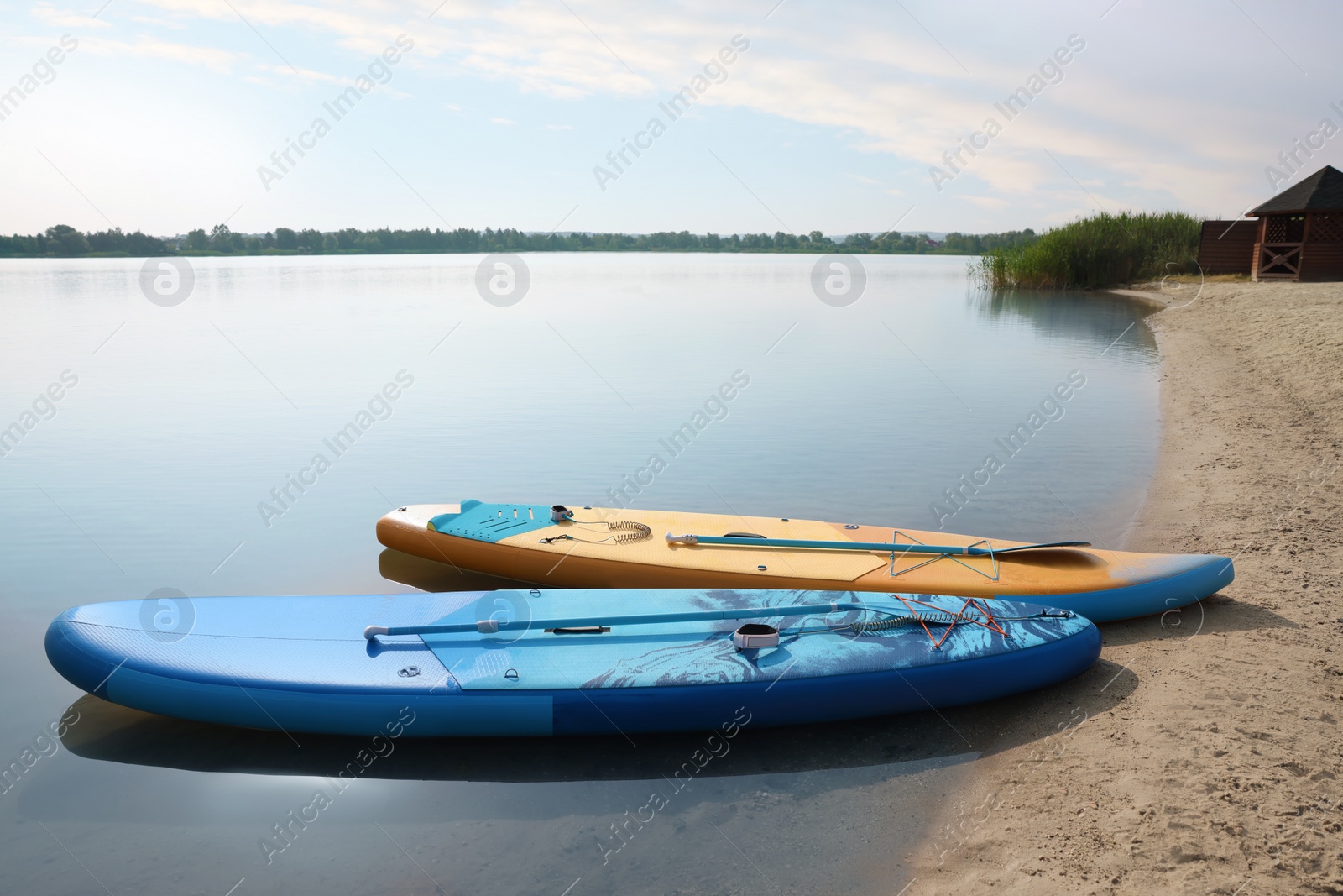 Photo of SUP boards with paddles on river shore