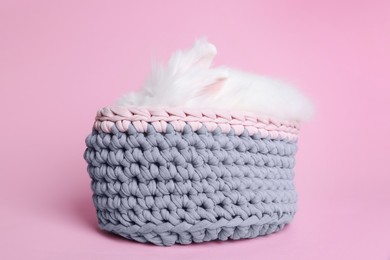 Photo of Fluffy white rabbit in knitted basket on pink background. Cute pet