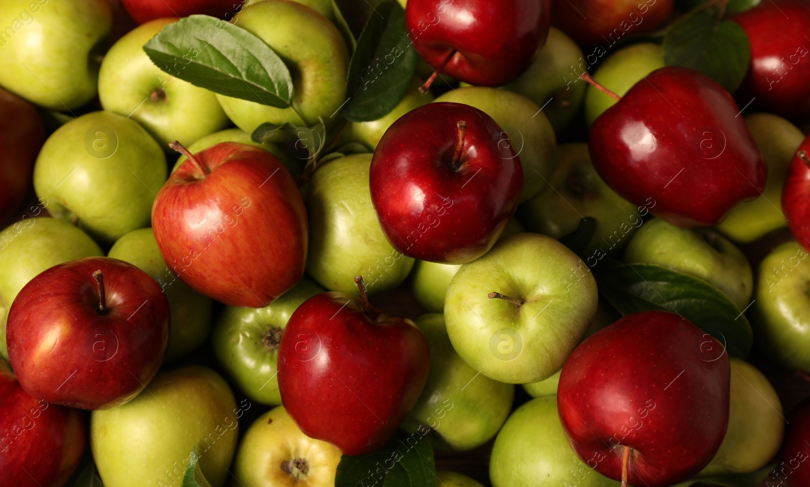 Photo of Fresh ripe red and green apples as background, top view