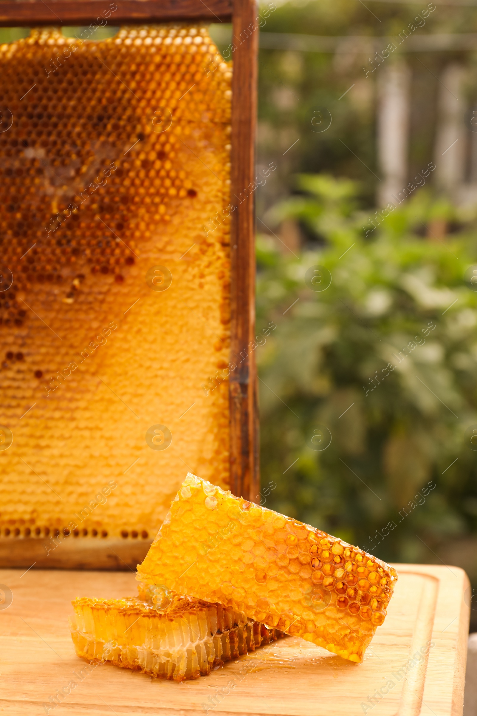 Photo of Fresh delicious honeycombs on wooden table outdoors