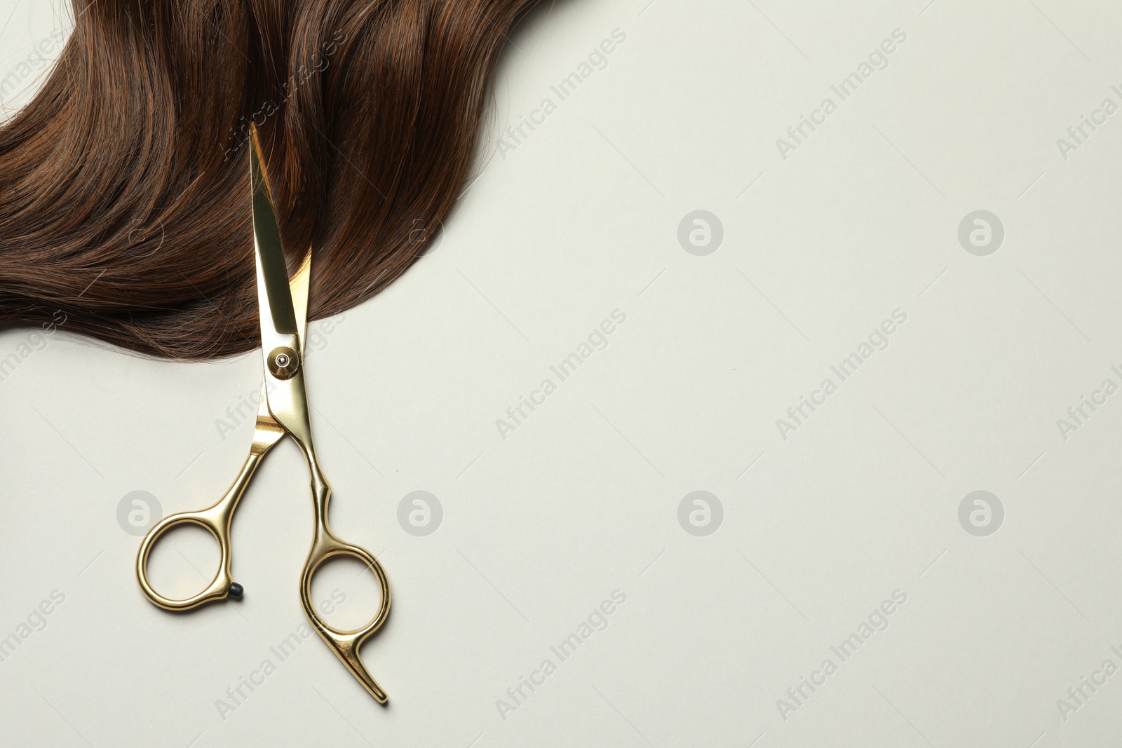 Photo of Professional hairdresser scissors with brown hair strand on light grey background, top view. Space for text