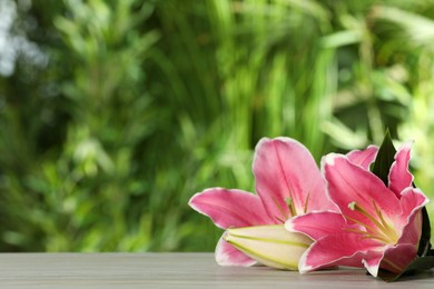 Photo of Beautiful pink lily flowers on table outdoors, space for text