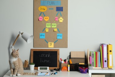 Business process planning and optimization. Workplace with cat, small blackboard, colorful paper notes and other stationery on white wooden table