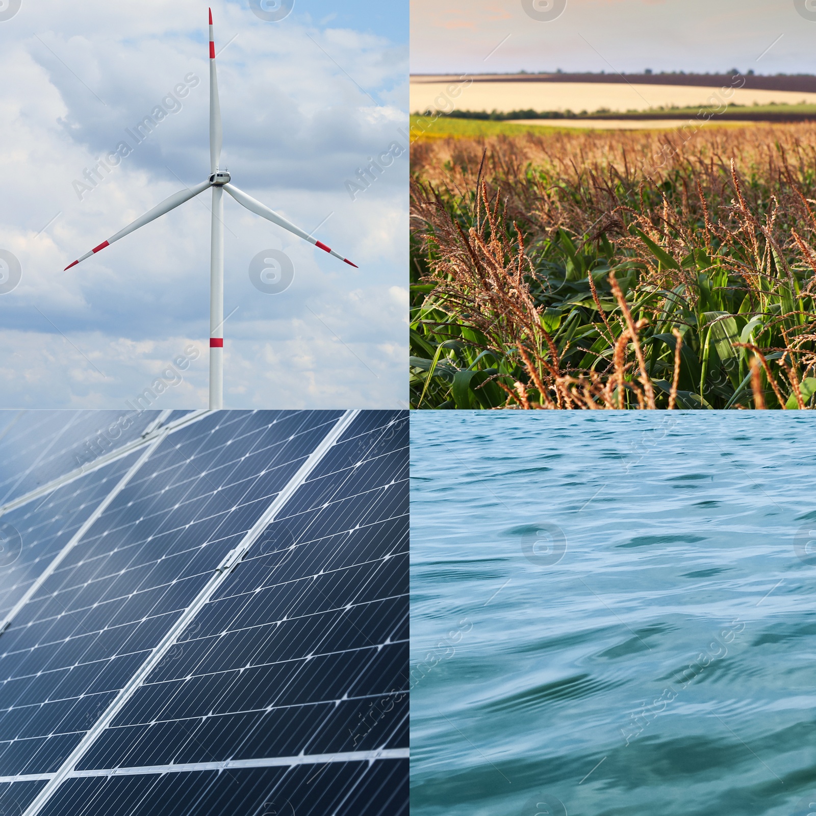 Image of Collage with photos of water, field, solar panels and wind turbine. Alternative energy source