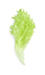 Fresh green lettuce leaf isolated on white, top view