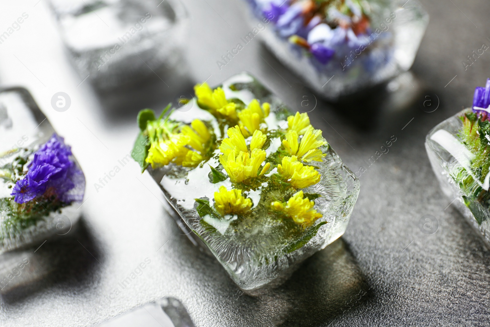 Photo of Ice cubes with flowers on grey stone table, closeup