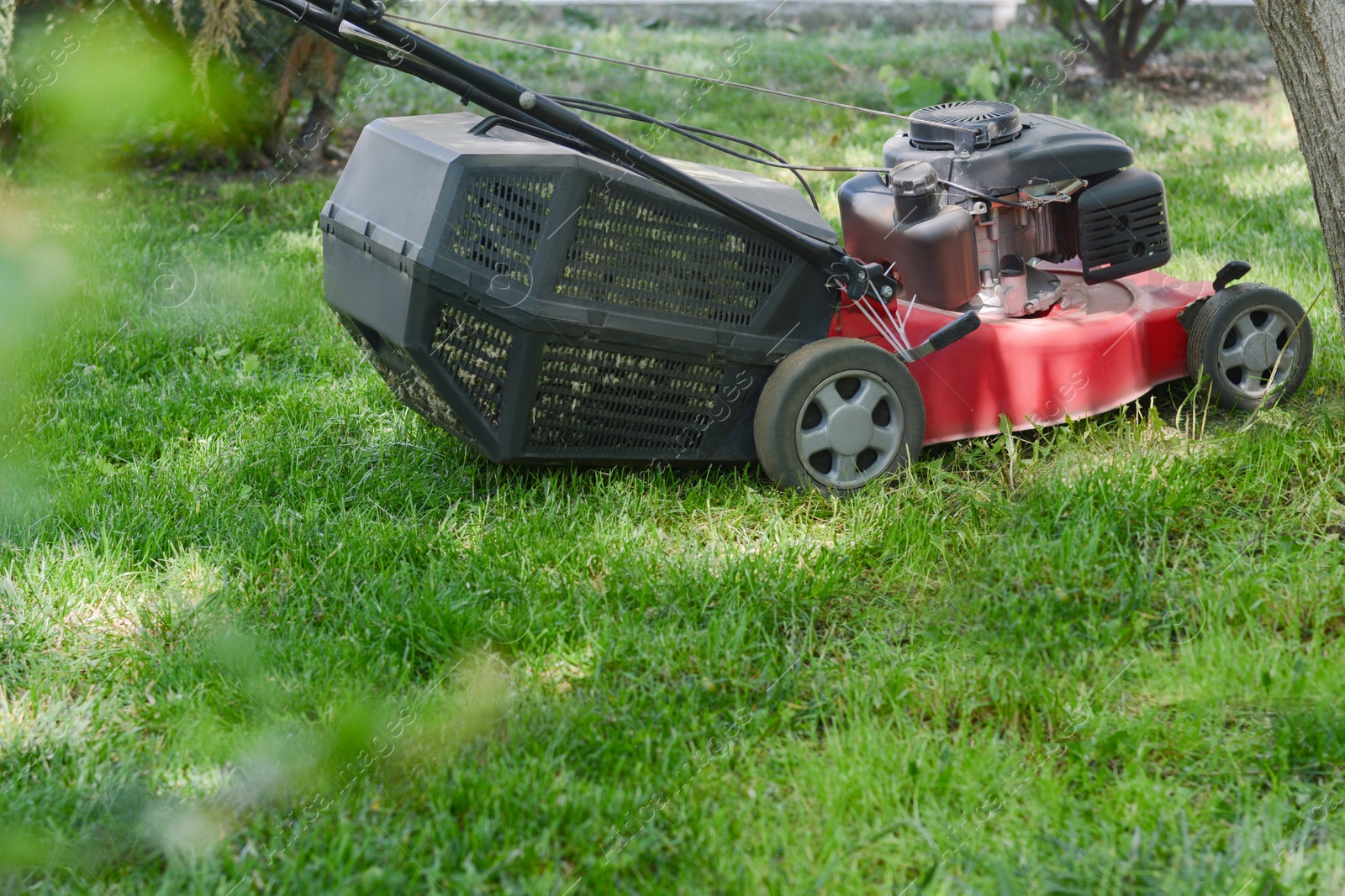 Photo of Modern garden lawn mower cutting green grass outdoors