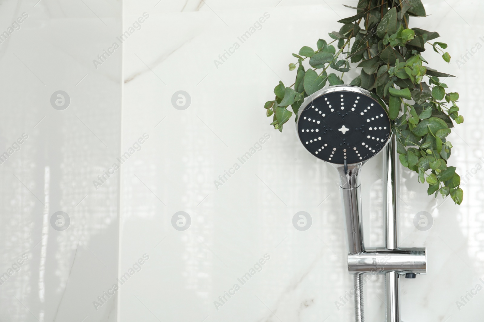 Photo of Branches with green eucalyptus leaves in shower, space for text