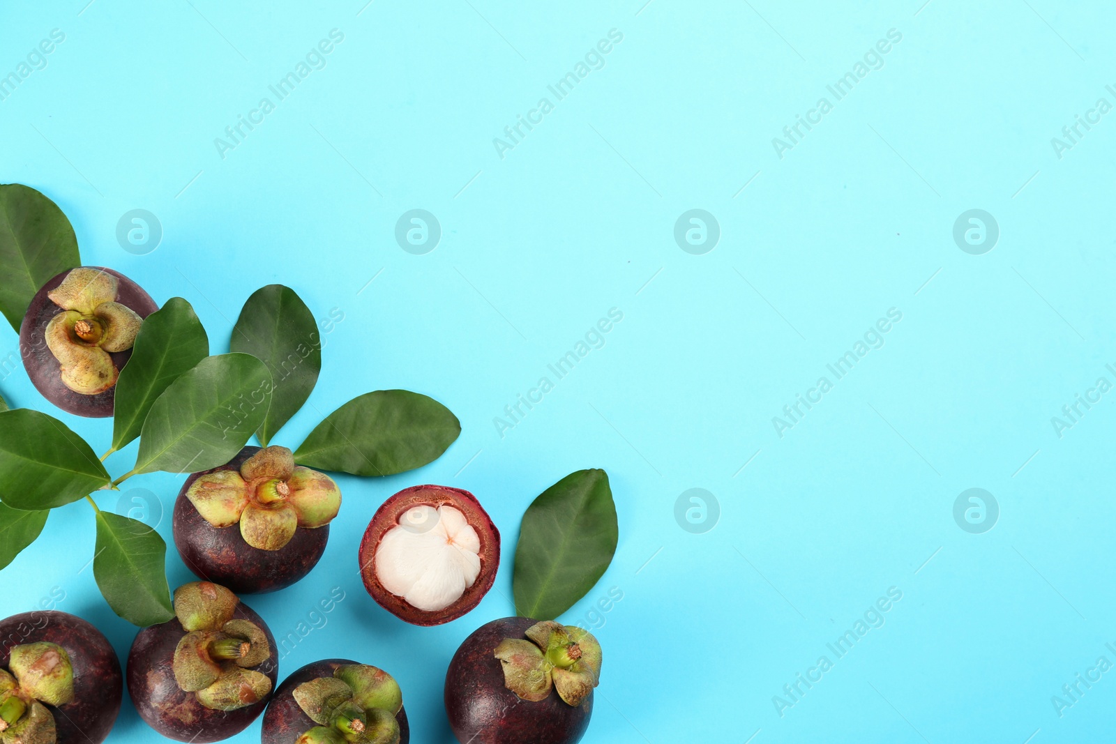 Photo of Fresh ripe mangosteen fruits with green leaves on turquoise background, flat lay. Space for text