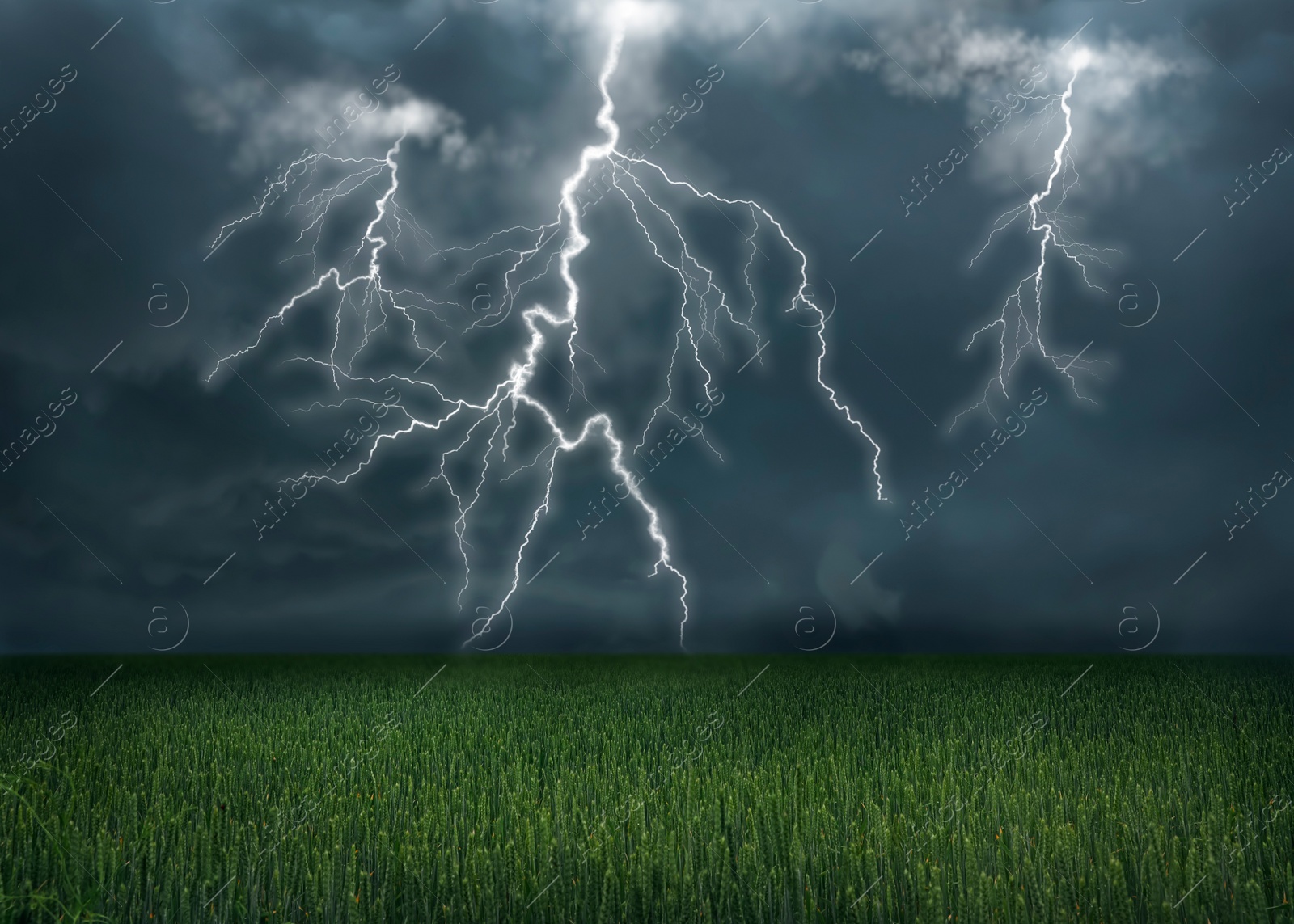 Image of View of field and cloudy sky with lightning. Thunderstorm