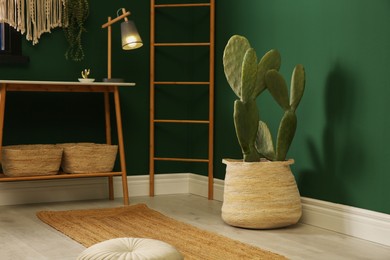 Potted cactus near green wall in room