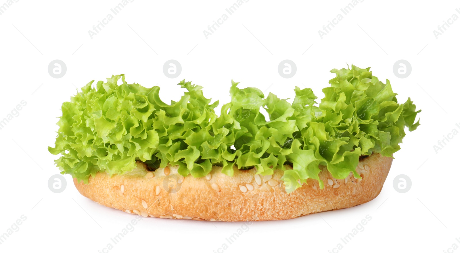Photo of Burger bun and lettuce isolated on white