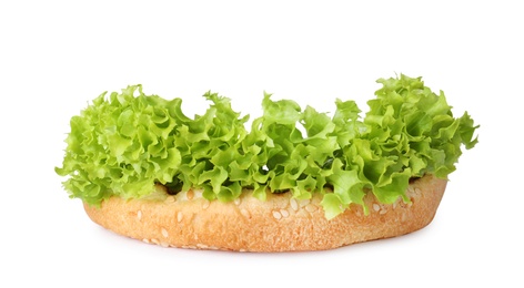 Photo of Burger bun and lettuce isolated on white