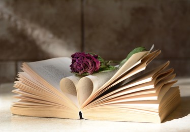 Photo of Book with beautiful dried flower on light table