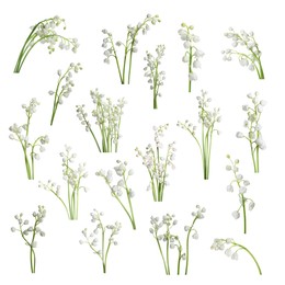 Image of Set of beautiful lily of the valley flowers on white background