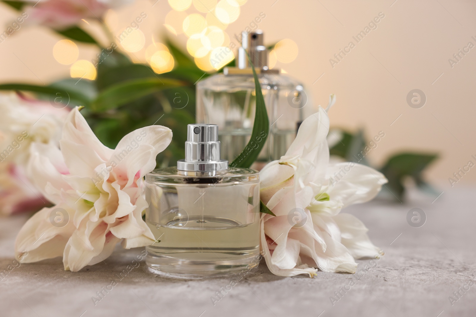 Photo of Bottles of perfume and beautiful lily flowers on table against beige background with blurred lights, closeup