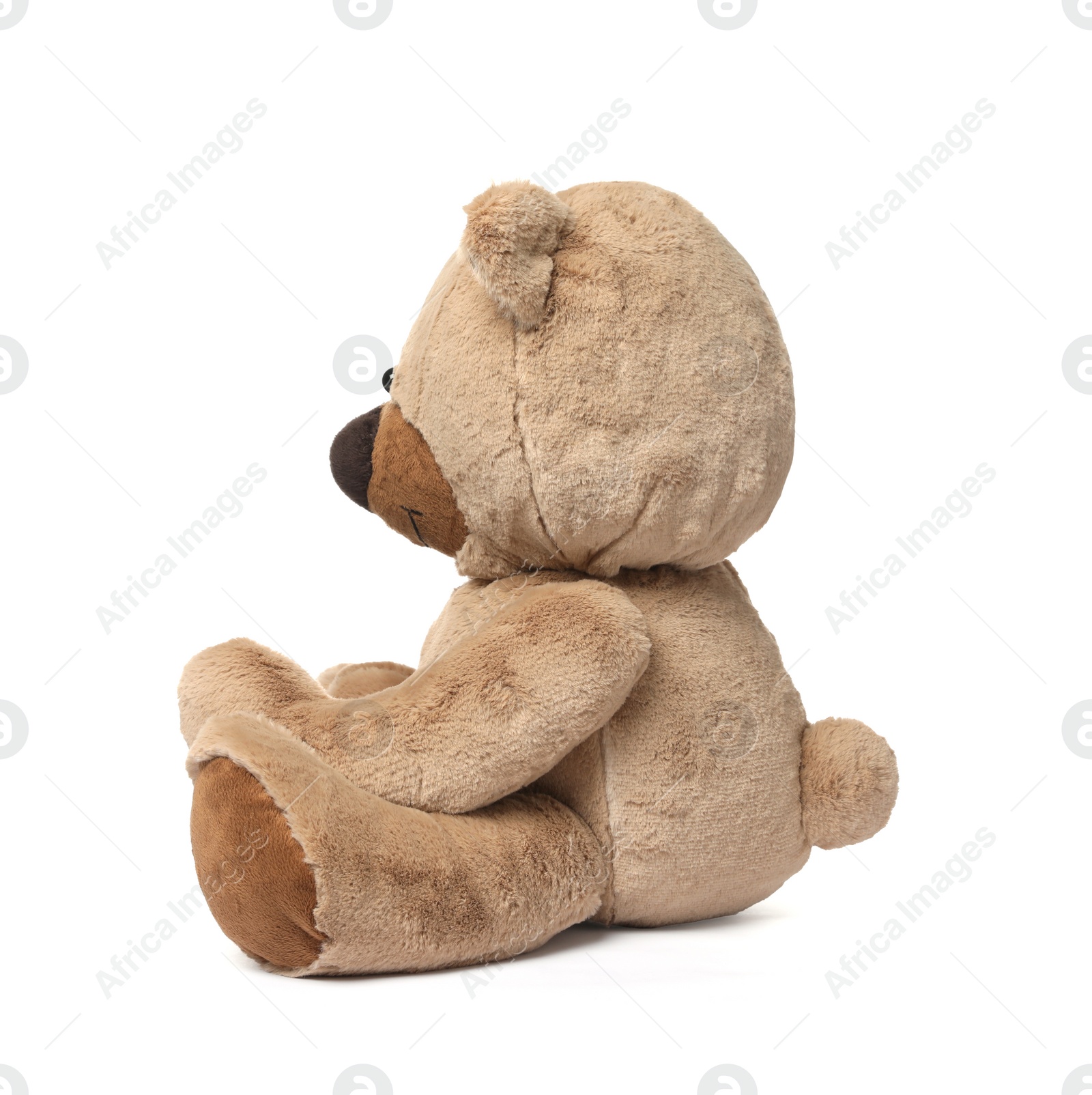 Photo of Cute teddy bear isolated on white. Child`s toy