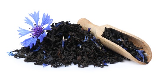 Photo of Dried cornflower tea and fresh flower on white background