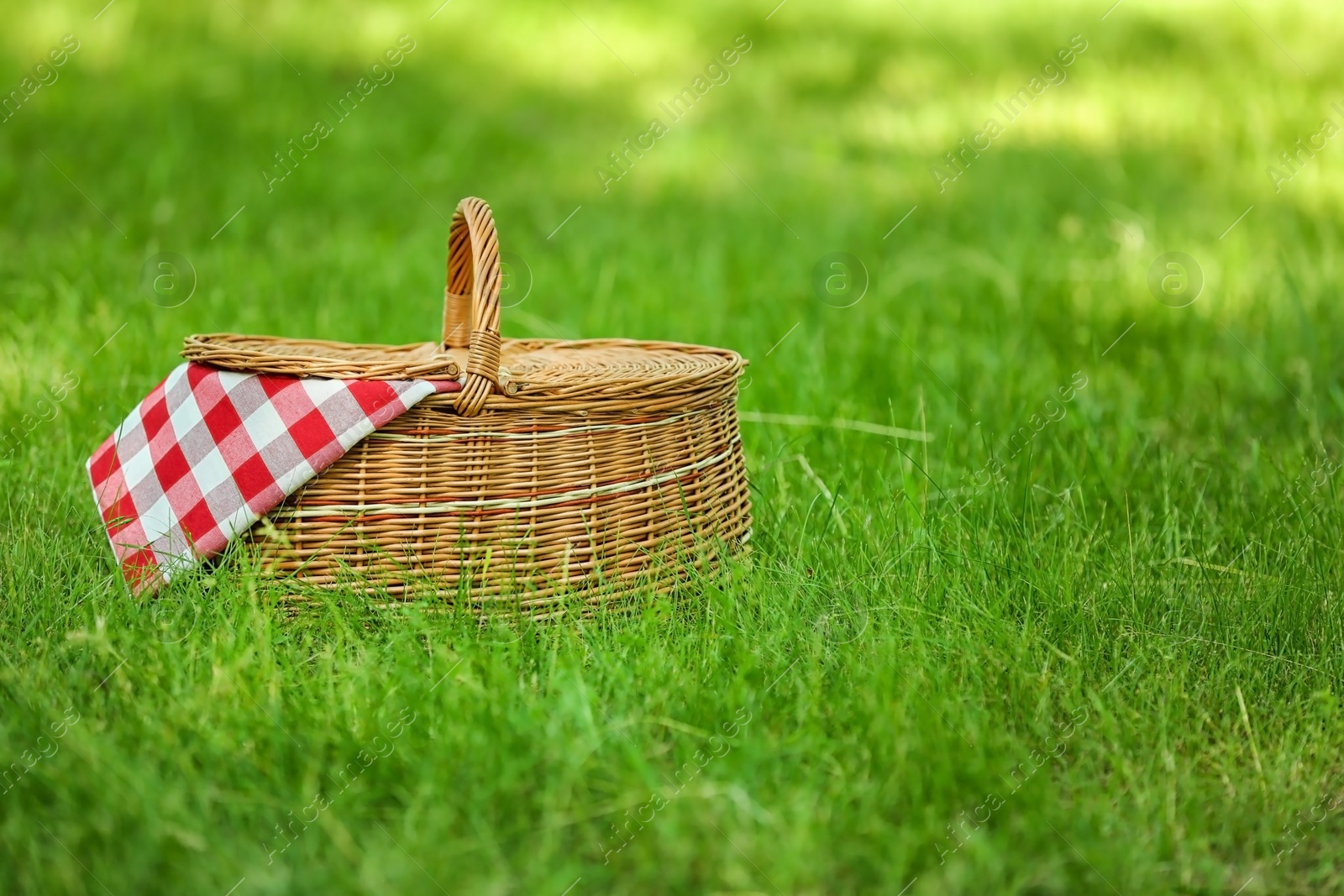 Photo of Wicker basket with blanket on green grass in park, space for text. Summer picnic