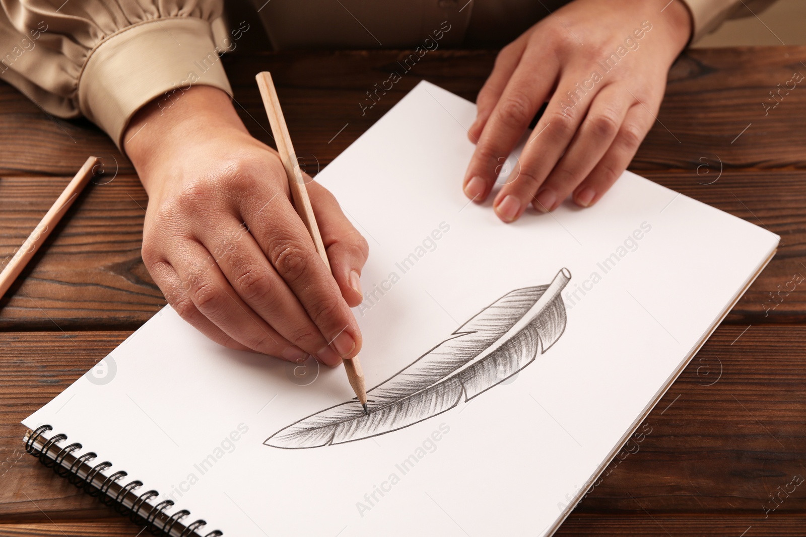 Photo of Woman drawing feather with graphite pencil in sketchbook at wooden table, closeup