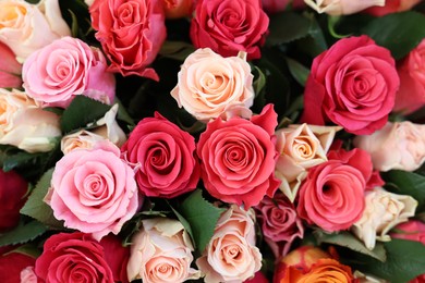 Bouquet of beautiful rose flowers as background, top view