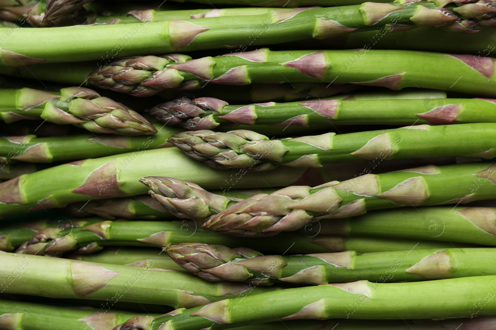 Photo of Fresh raw asparagus as background, top view