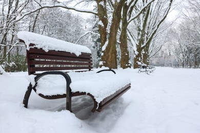 Benches covered with snow and trees in winter park, space for text