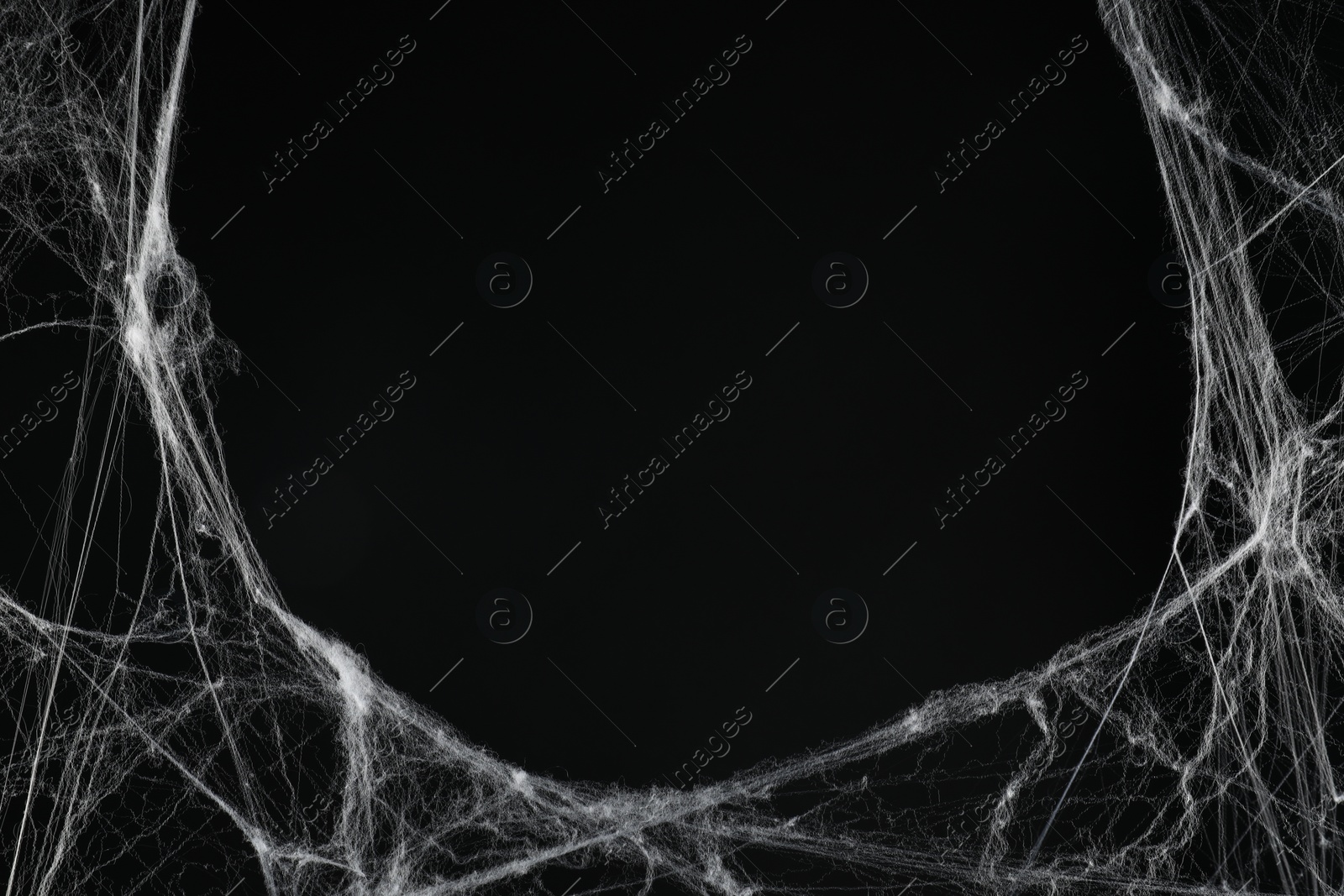 Photo of Creepy white cobweb on black background, space for text