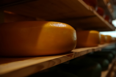 Photo of Fresh cheese on rack in factory warehouse, closeup