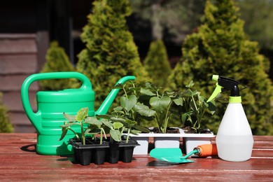Seedlings growing in plastic containers, watering can, spray bottle and trowel on wooden table outdoors
