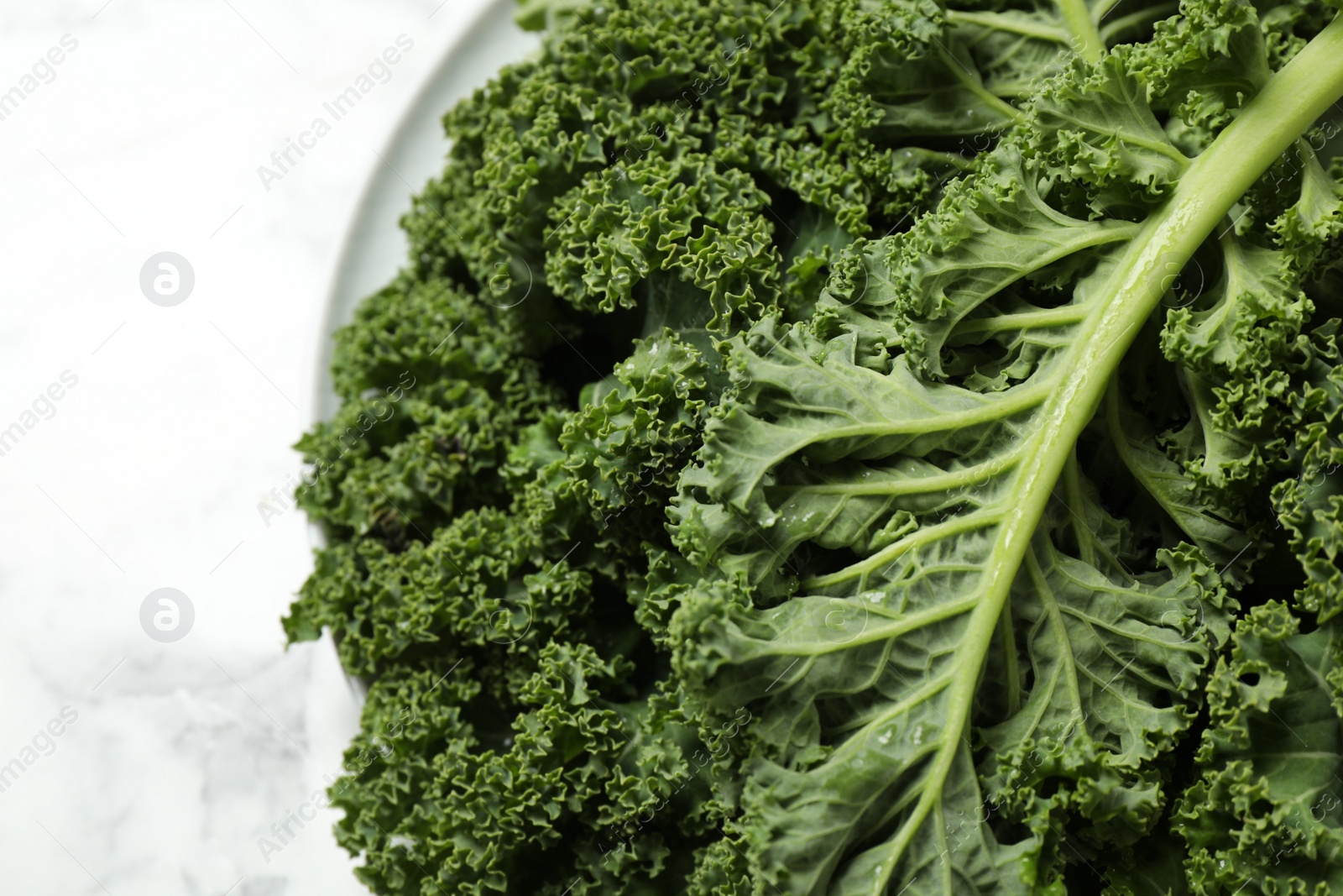 Photo of Fresh wet kale leaves on light table, closeup