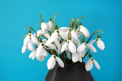 Beautiful snowdrops in vase on light blue background, closeup