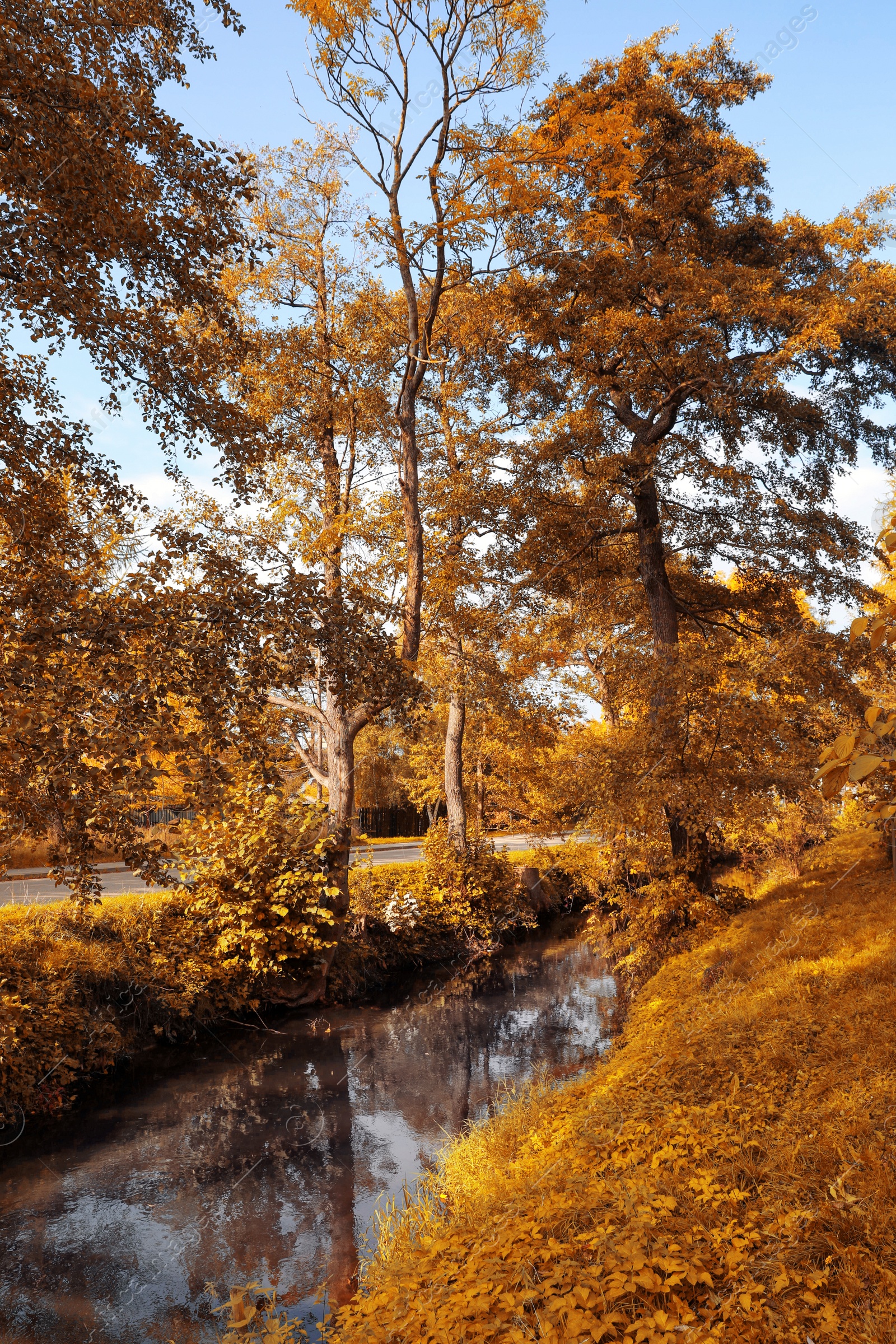 Photo of Picturesque view of river in beautiful park. Autumn season