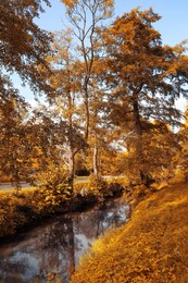 Picturesque view of river in beautiful park. Autumn season