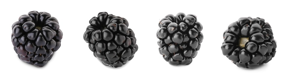 Image of Set with delicious ripe blackberries on white background. Banner design