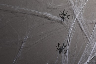 Photo of Cobweb and spiders on gray background, top view