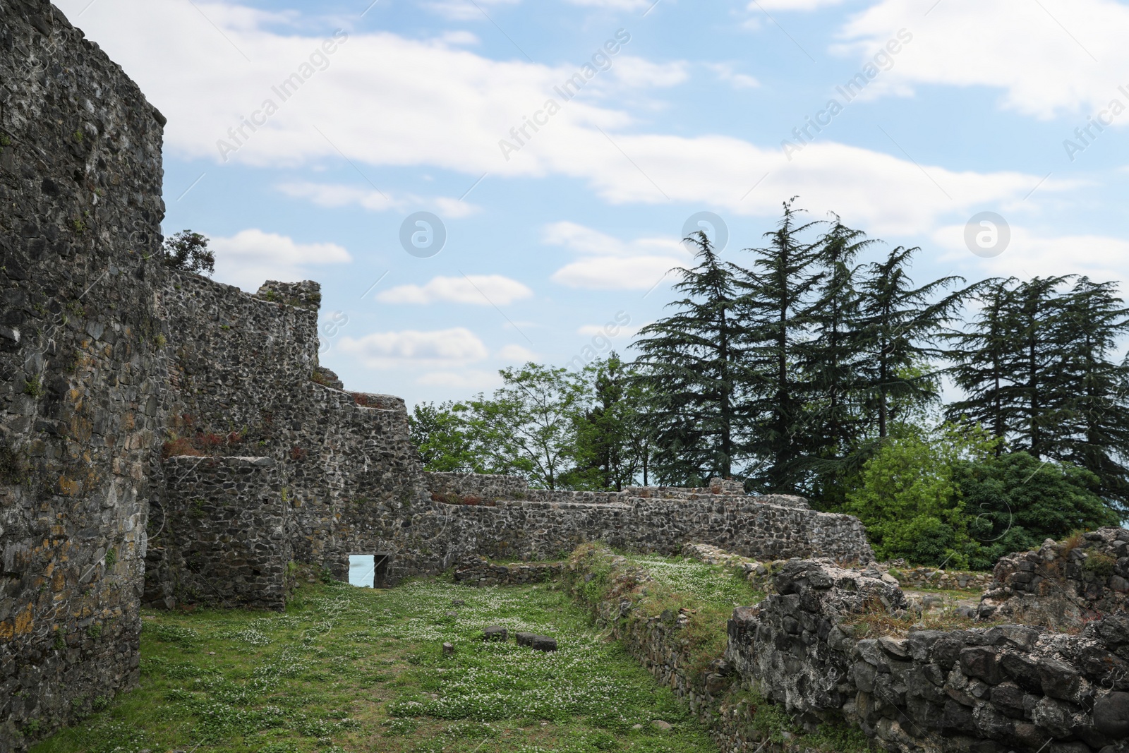 Photo of Picturesque view of large old ruins surrounded by trees