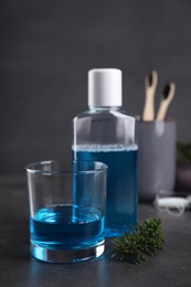 Fresh mouthwash in glass, bottle and fir branch on dark textured table, closeup